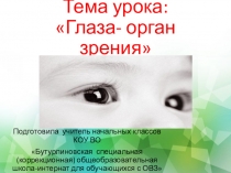 Презентация по развитию речи  Глаза- орган зрения