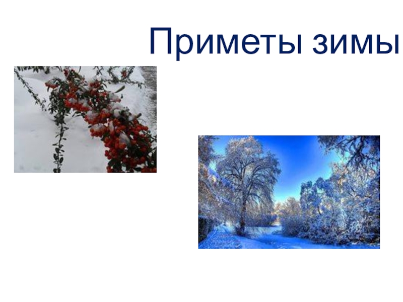 Презентация Презентация по эрзянскому языку на тему Птицы зимой