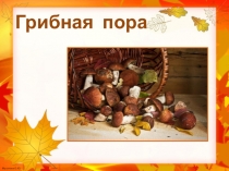 Грибная пора. Презентация к уроку окружающего мира 1 класс программа Начальная школа XXI века.