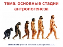 Презентация по биологии на тему: Основные стадии антропогенеза