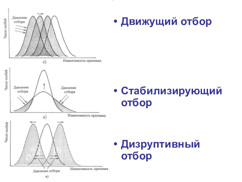 Формы отбора картинки