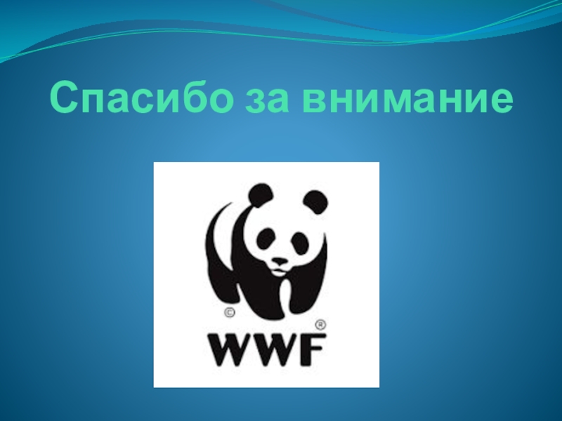 Что такое wwf 4 класс окружающий