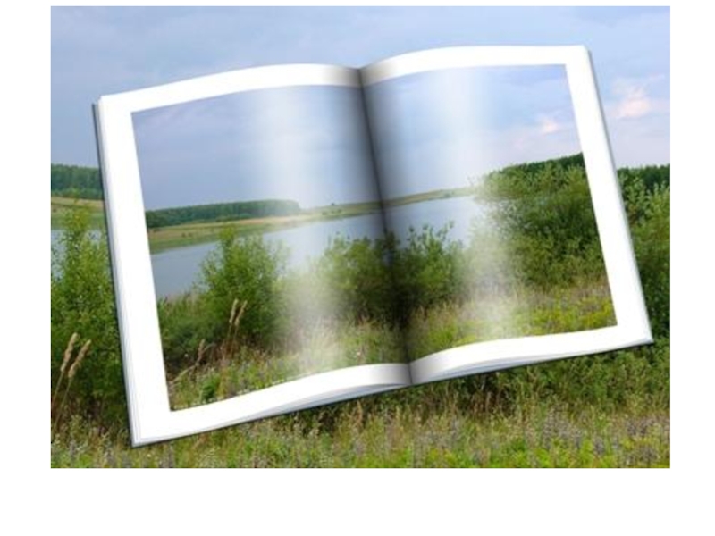 Открытый альбом. Фотоальбом родного края. Раскрытая книга на природе. Фотоальбом экология. Развернутая книга с природой.