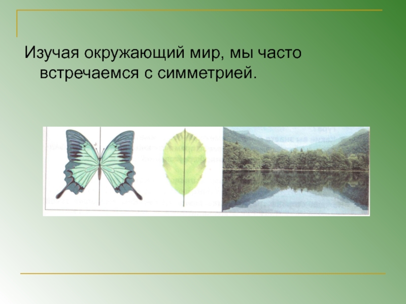 Симметрия в природе и искусстве 2 класс школа 21 века презентация