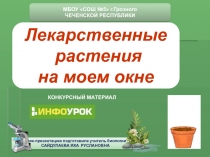 Урок-презентация по биологии по теме: ЛЕКАРСТВЕННЫЕ РАСТЕНИЯ