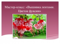 Презентация по технологии Вышивка лентами. Цветы фуксии