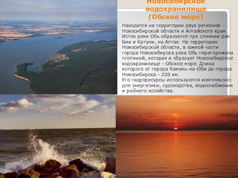 Речной обское море расписание. Обское море доклад. Обское водохранилище Новосибирск. Обское море Алтайский край. Река Обь и Обское водохранилище.