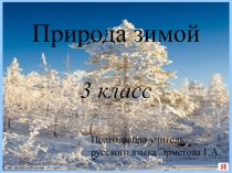 Презентация по русскому языку на тему Природа зимой (3класс)