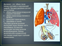 Презентация по биологии на тему Этапы дыхания. Спирометры