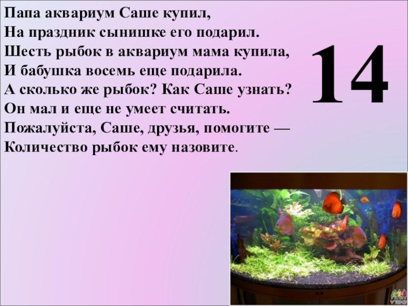 Шесть рыб. Аквариум папа. Рыбки аквариумные для устного счета. Папа аквариум саше купил. Математика ст.5-6 рыб.