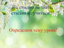 Презентация Не с глаголами