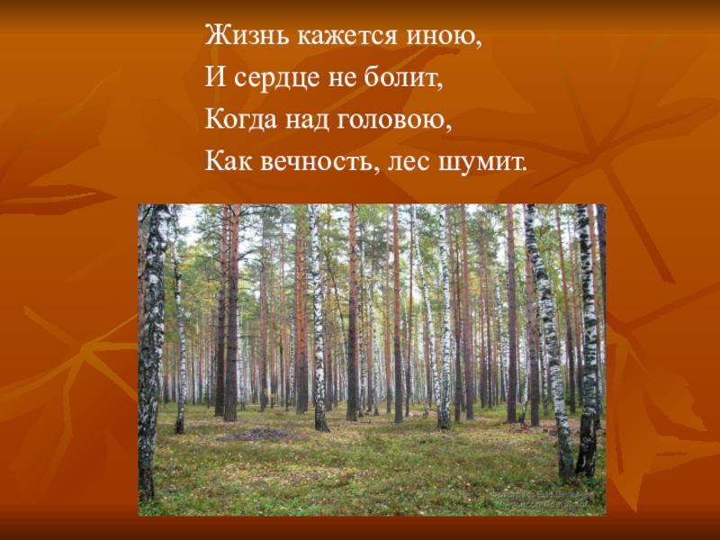Главная мысль стихотворения в лесу над росистой
