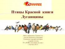 Презентация Птицы Красной книги Луганщины
