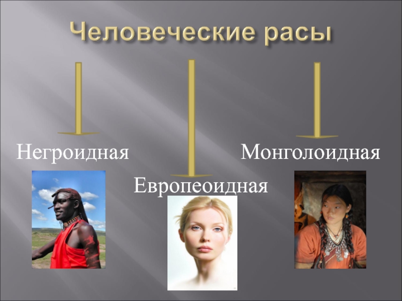 Презентация человеческие расы их родство и происхождение. Европеоидная монголоидная негроидная. Расы человечества. Человеческие расы их родство и происхождение. Расы человека презентация.