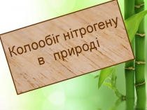 Презентация по биологии на тему Нитроген в природе.