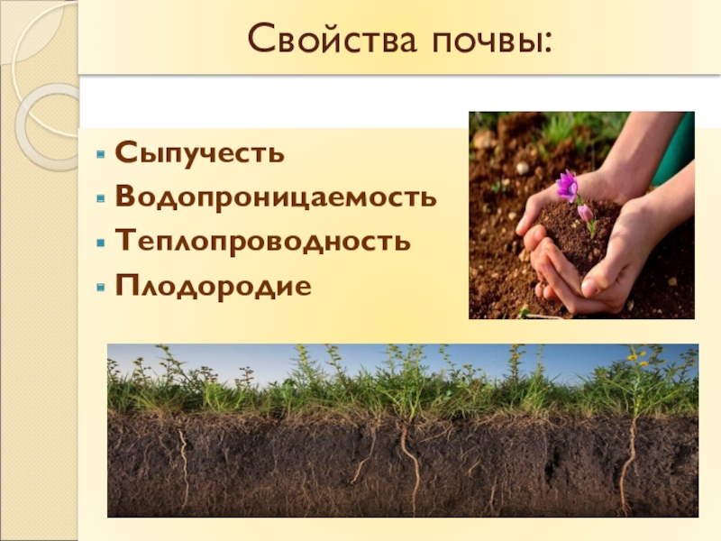 Повышение плодородие почвы называется. Свойства почвы. Плодородие почвы. Основное качества почевы. Основное свойство почвы плодородие.