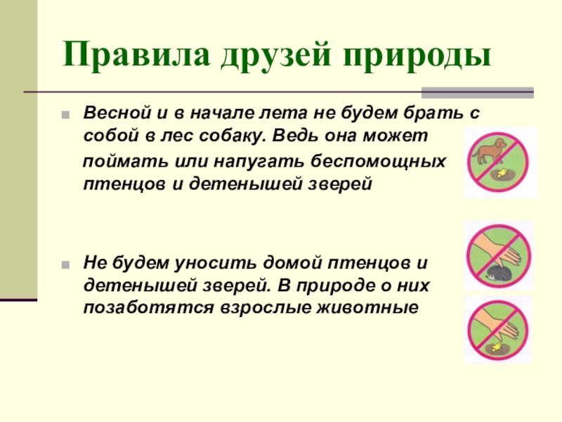 Правила природы окружающий мир 2 класс. Правило друзей природы. Памятка друзей природы. Правила по охране животных. Правила друзей природы 3 класс.