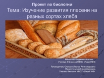 Презентация к итоговому проекту по биологии на тему Развитие плесени на разных сортах хлеба