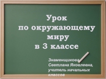 Презентация по окружающему миру Органы дыхания