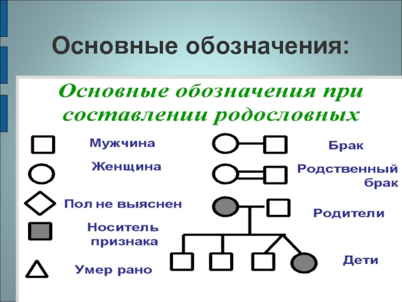 Основные обозначения. Обозначения в родословной. Обозначения для составления родословной. Символы используемые при составлении родословной. Генеалогическое Древо обозначения.