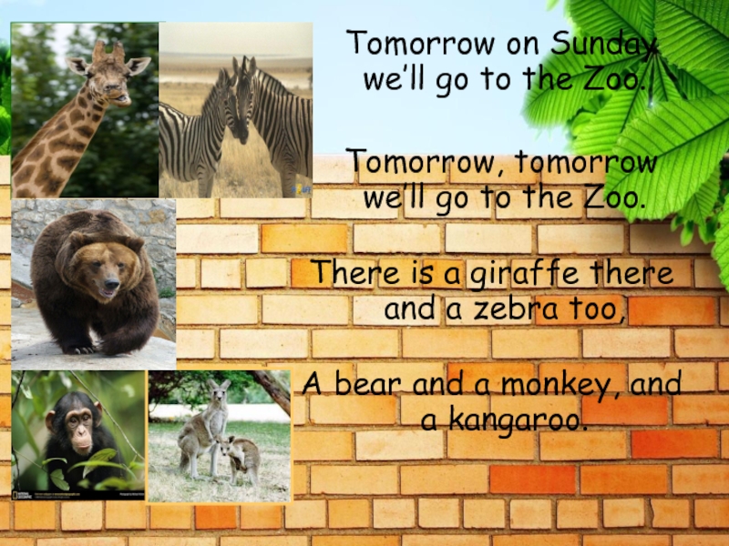 Tomorrow on Sunday we’ll go to the Zoo. Tomorrow, tomorrow we’ll go to the Zoo. There