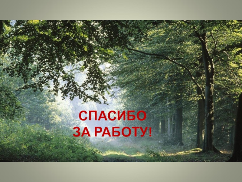 Жизнь леса 4 класс окружающий мир презентация школа россии презентация