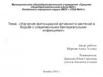Презентация по биологии Изучение фитонцидной активности растений в борьбе с современными бактериальными инфекциями