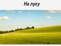 Проектная работа ученика 3 А класса Родкина Дениса под руководством учителя Гребковой Л.В. по теме:  Экосистема. Луг