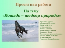 Проектная работа Лошадь - шедевр природы