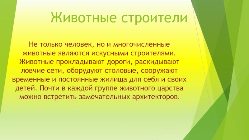 Животные строители презентация