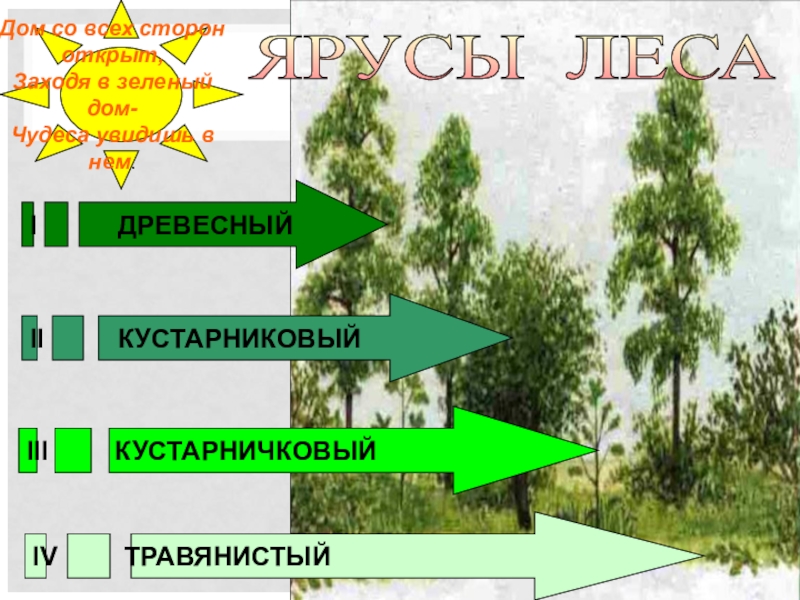 Тест жизнь леса 4 класс окружающий