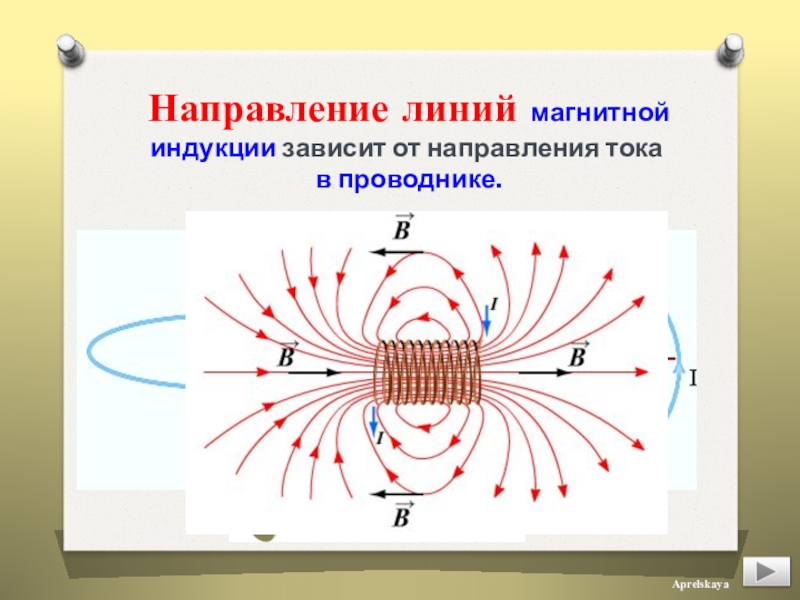 Какого направление магнитных силовых линий. Магнитные линии и магнитная индукция. Направление магнитных линий и магнитной индукции. Направление линий индукции магнитного поля. Магнитные линии индукции.