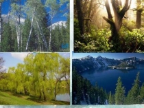 Презентация по окружающему миру В мире грибов