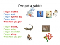 Презентация У тебя есть маленькая собака 2 класс