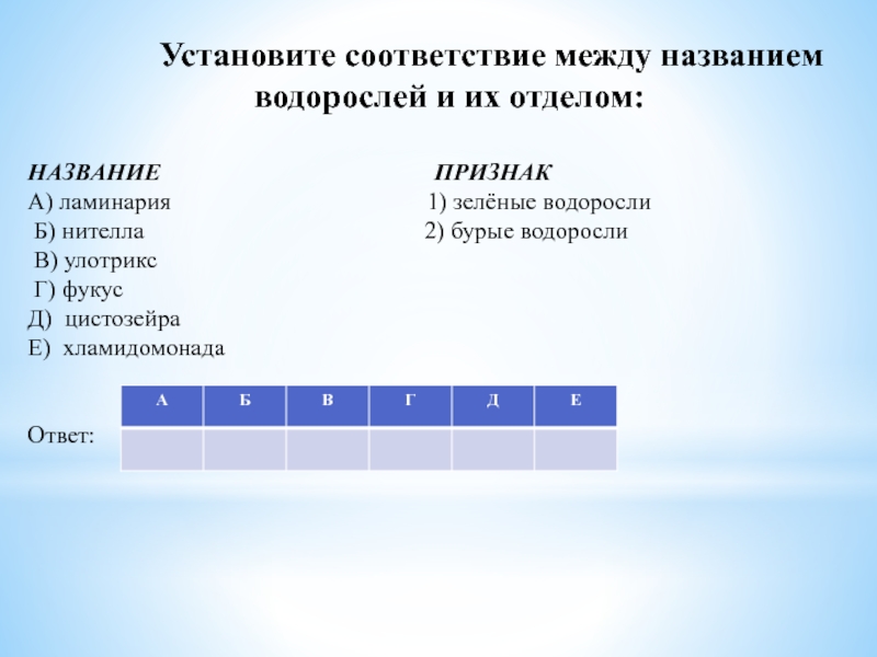 Установите соответствие между признаками и названием семейства. Установите соответствие f12.