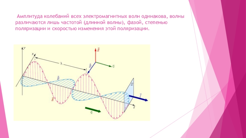 Волны с одинаковыми частотами и фазами. Амплитуда электромагнитной волны. Амплитуда колебаний. Амплитуда колебаний волны. Амплитуда колебаний электромагнитных колебаний.