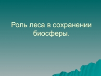 Презентация по биологии на тему Роль леса в сохранении биосферы