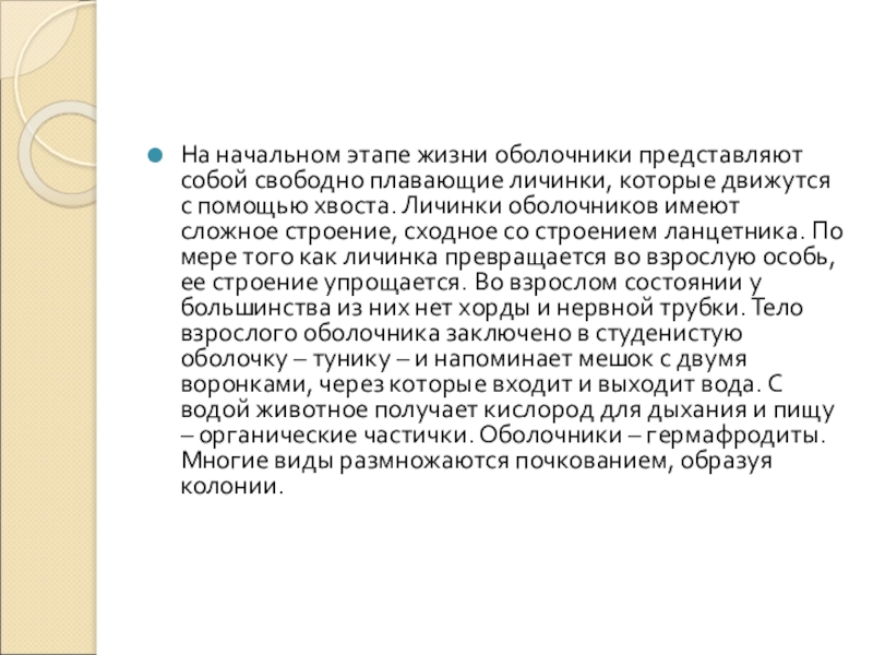 На начальном этапе жизни оболочники представляют собой свободно плавающие личинки, которые движутся с помощью хвоста. Личинки оболочников