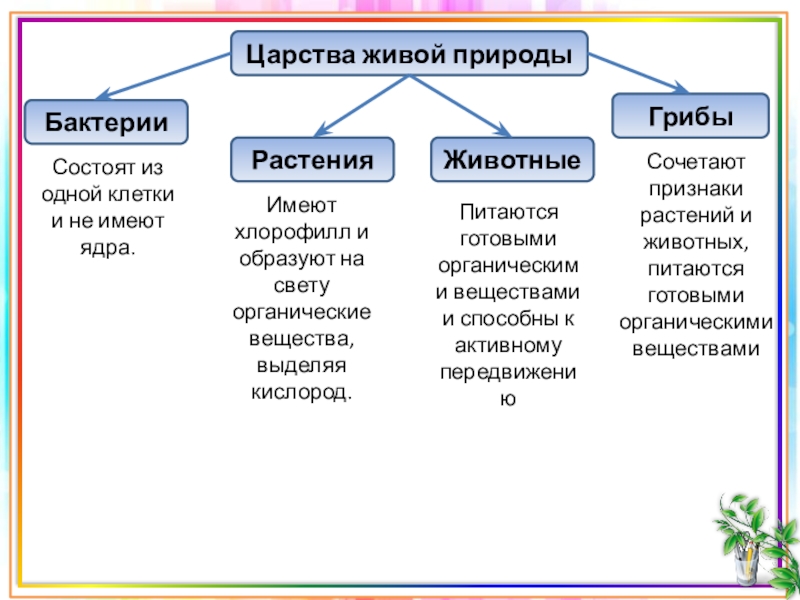 Современный мир живых организмов 7 класс презентация