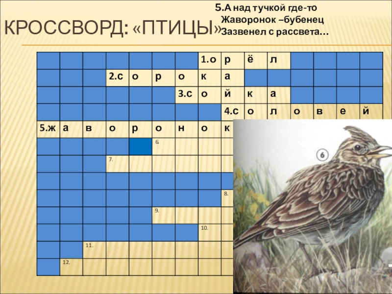 Птицы сканворд 6. Кроссворд птицы 1 класс. Кроссворд про жаворонка. Экологические группы птиц кроссворд. Кроссворд про птиц на татарском.