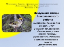 Зимующие птицы Николаевского района