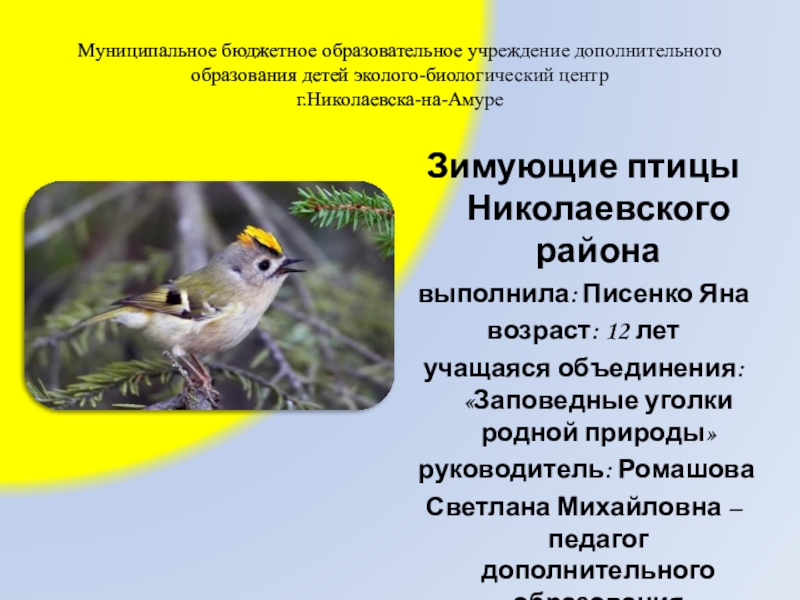Презентация Зимующие птицы Николаевского района