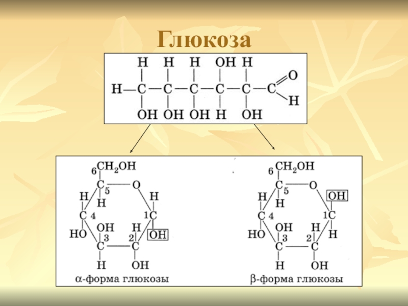 Формула форм. Альфа Глюкоза структурная формула. Циклическая форма Альфа Глюкозы. Альфа Глюкоза линейная формула. Циклическая формула Альфа Глюкозы.
