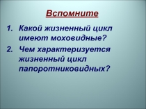 Презентация по биологии на тему Отдел Голосеменные (7 класс) (Линия жизни)
