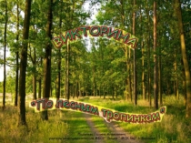 Презентация По лесным тропинкам