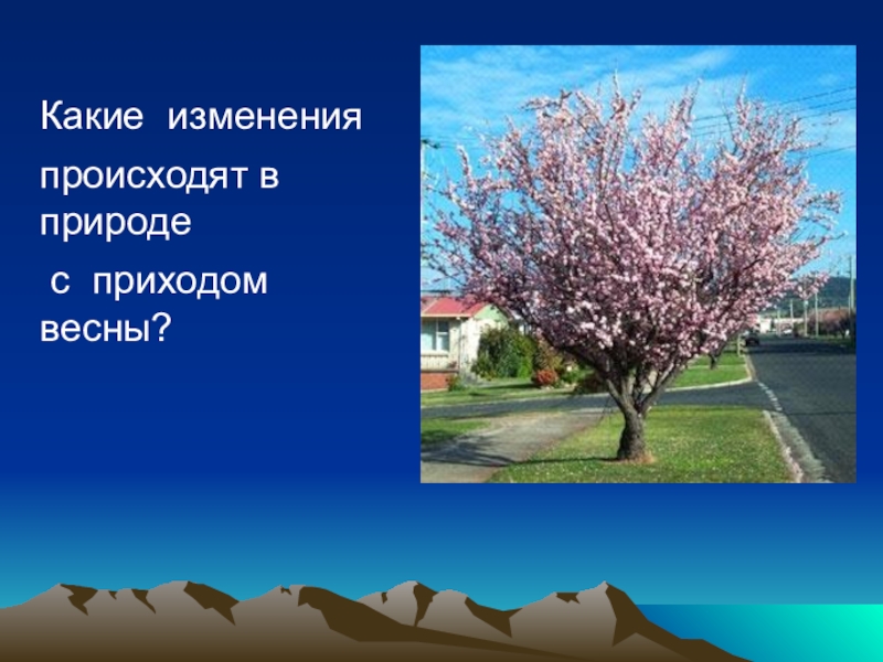 Изменения в природе происходят. Какие изменения происходят в природе. Изменения в природе с приходом весны. Изменения в природе происходят весной. Какие изменения происходят в природе весной.