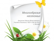 Презентация по биологии Многообразие насекомых и их значение в природе(7 класс)