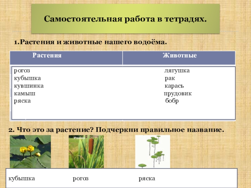 Характеристика пресного водоема по плану 4 класс окружающий мир