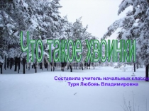 Презентация по окружающему миру на тему Что такое хвоинки 1 класс