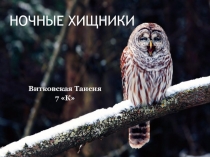 Презентация по биологии на тему: Ночные хищнки (7 класс)